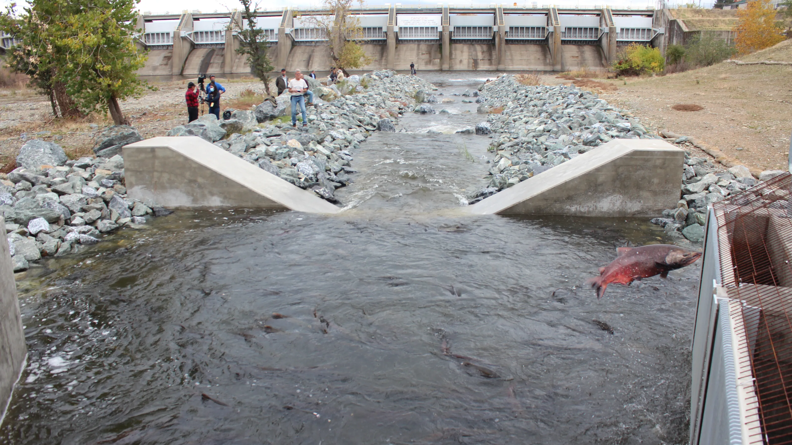 Nimbus Fish Hatchery